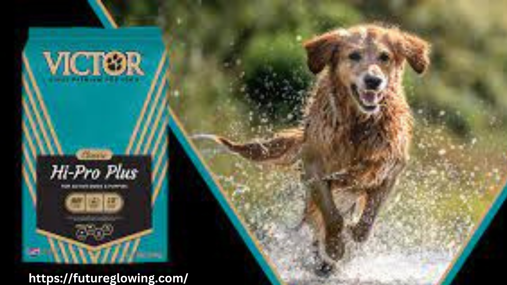 How to Choose the Right Victor Dog Food for Your Pet